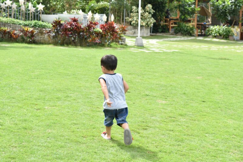 緑豊かな野原を駆け抜ける少年