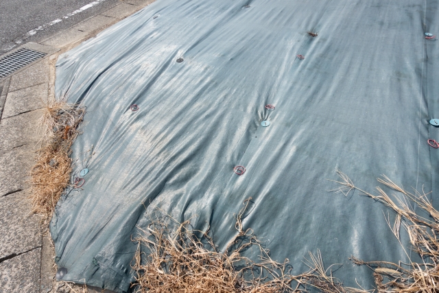 防草シートを貼った土地