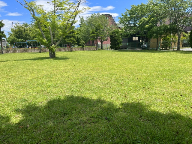 刈り込まれた芝生