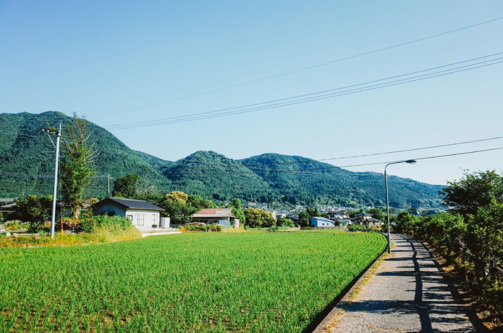 家々となだらかな丘陵を背景にした緑の野原。