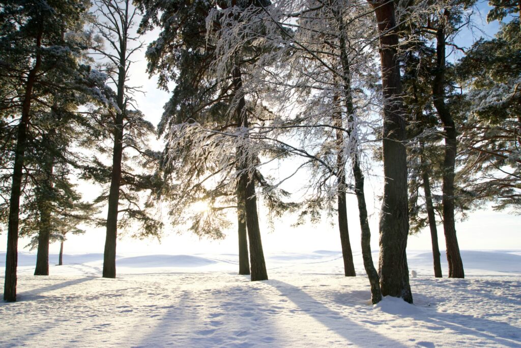 冬の暖かさと心の余裕